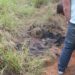 Corpo é encontrado em matagal na cidade Campo Bom