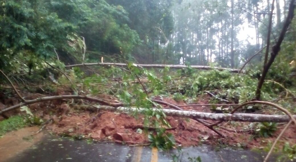 Asfalto está cedendo em trecho da Estrada Sapiranga – Dois Irmãos