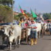 Fim de semana para curtir a 18ª Festa da Colônia e Feira do Mel de Sapiranga