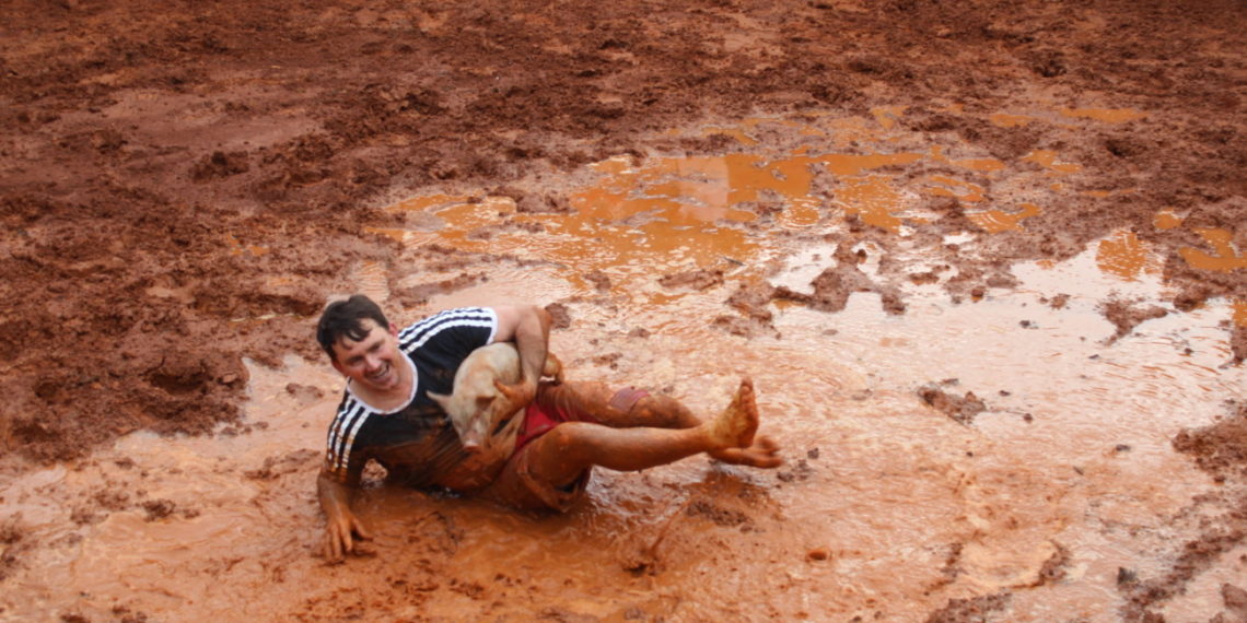É tempo de festas na cidade das Azaleias