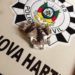 Polícia Civil e Brigada Militar deflagram ação contra o tráfico de drogas em Nova Hartz