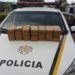 Casal é preso com 28kg de drogas pela Brigada Militar de Sapiranga