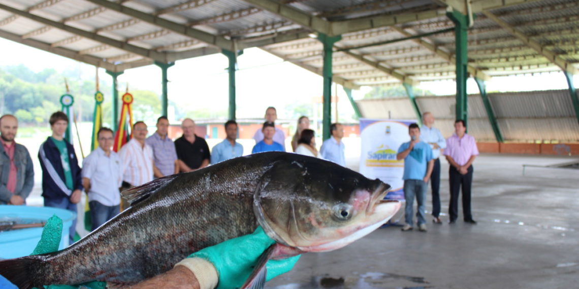 Agricultura em Sapiranga mostra a sua importância