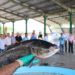 Agricultura em Sapiranga mostra a sua importância