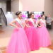 Vestidos da corte são apresentados no lançamento oficial da Festa das Rosas 2016