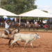 Campo Bom e a preservação das tradições gauchescas