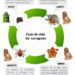 Deixe seu pet longe das pulgas e carrapatos com cuidados simples