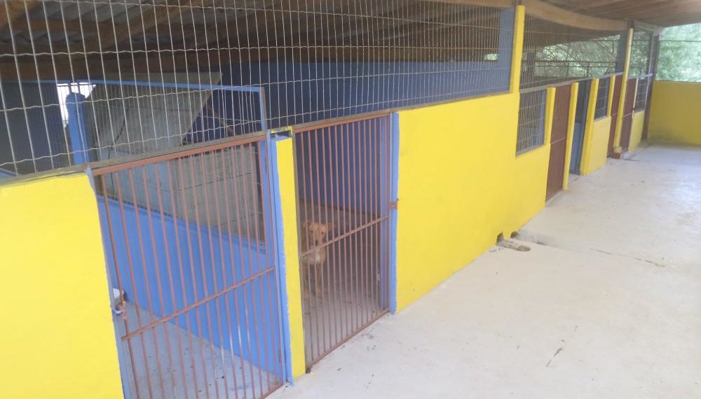 Sapiranga terá serviço gratuito de castração de cães