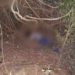 Homem é encontrado morto às margens do Rio do Sinos em Sapiranga