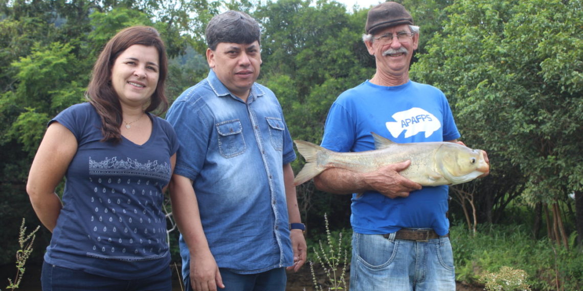 Feiras da região oferecem peixe fresco ao consumidor