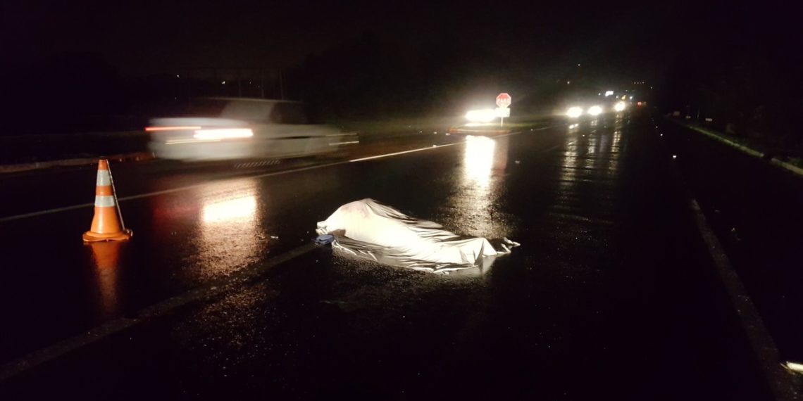 Cadáver é encontrado com marcas de tiros na RS-239 em Nova Hartz