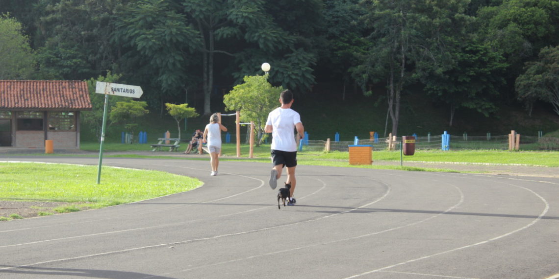 Parque do Imigrante terá Pista de Caminhada dentro da mata