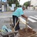 Esforços para deixar Sapiranga Mais Verde