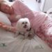 Cãozinho de estimação visita paciente no Hospital Sapiranga