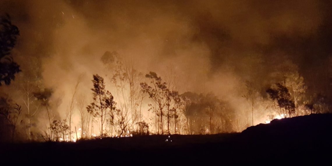 Incêndio atinge mata e deixa moradores assustados na encosta do Ferrabraz