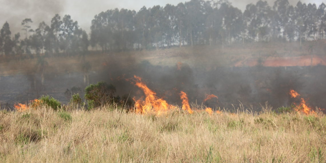 Incêndio de médias proporções atinge bairro Vila Nova em Sapiranga