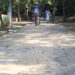 Parque do Imigrante passa por revitalização