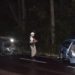Criança morre em acidente grave na RS-239 em Campo Bom