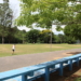 Parque da Integração Arno Kunz, o Parcão, é marco da cidade e espaço de lazer preferido entre campo-bonenses