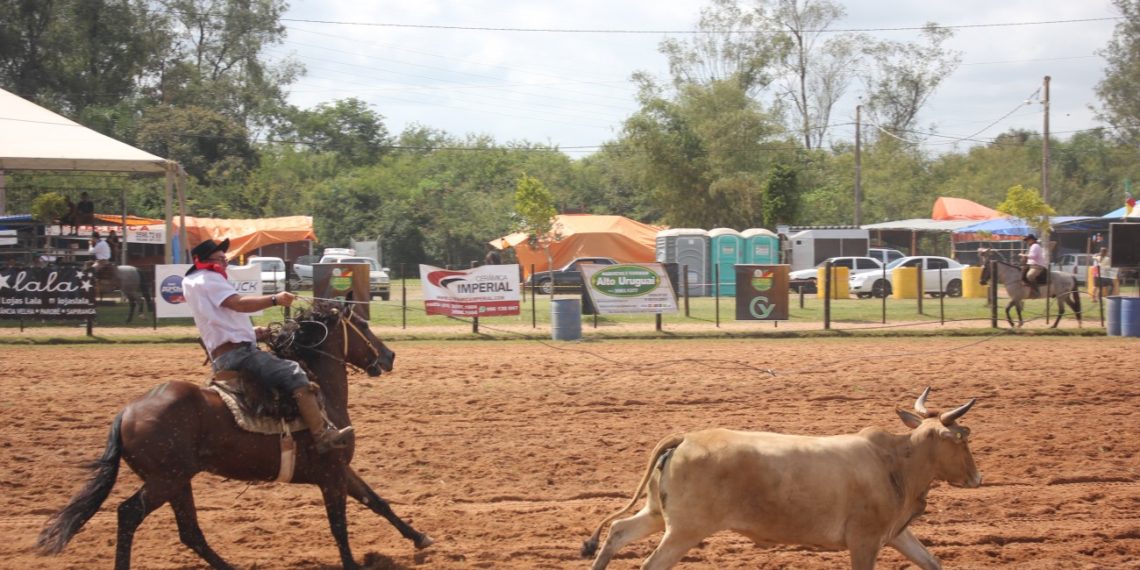Vídeos e fotos: Prova do laço individual deu início as atividades deste domingo no 41º Rodeio Nacional de Campo Bom