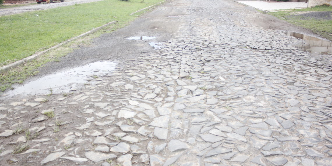 Avenida dos Flamingos e bairro Floresta de Sapiranga podem receber melhorias