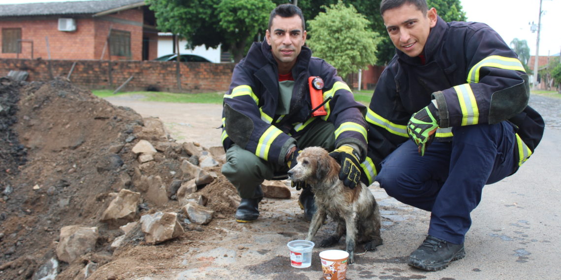 Vídeo e fotos: Secretaria de Obras e Corpo de Bombeiros de Sapiranga resgatam cãozinho de bueiro