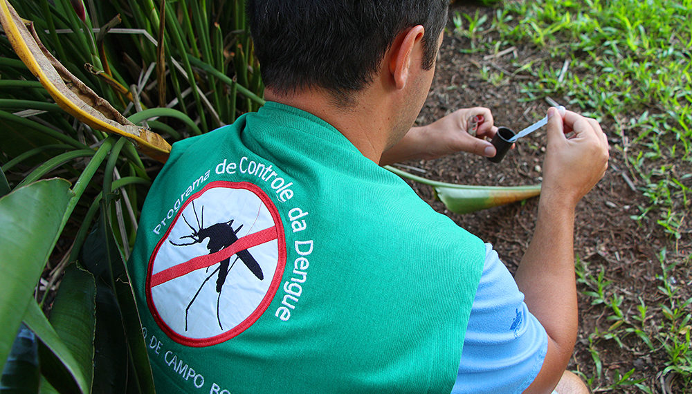Municípios da região atuam constantemente no combate à proliferação do mosquito Aedes aegypti