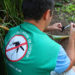 Municípios da região atuam constantemente no combate à proliferação do mosquito Aedes aegypti