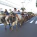 22ª Festa da Colônia de Sapiranga com data para ocorrer e atrações divulgadas