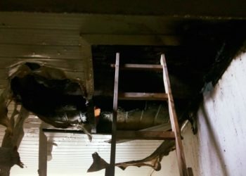 Corpo de Bombeiros é acionado para controlar incêndio em Nova Hartz