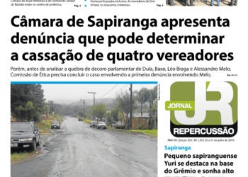 Edição 333