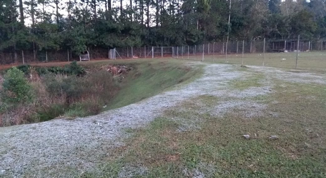 Frio chega com força na região trazendo geada