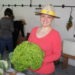 Festa Kolonie apresenta a agricultura de Nova Hartz