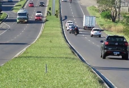 Proibição de plantio de árvores no canteiro da RS-239 forçará Prefeitura de Sapiranga a retirar mudas e replantar em outro local