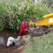 Bombeiros resgatam animal atolado em Nova Hartz