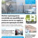 Edição 337