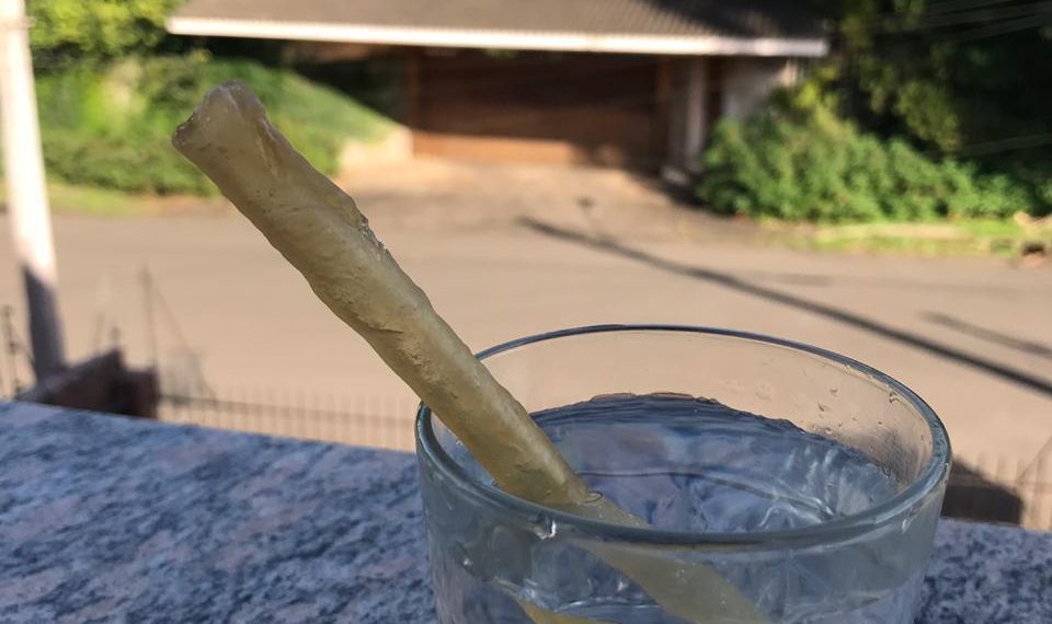 Alunas da Escola Genuíno Sampaio desenvolvem canudo biodegradável