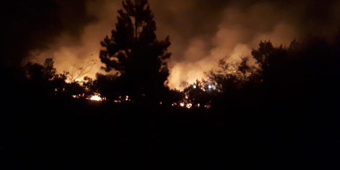 Incêndio de grandes proporções atinge área próxima ao lixão de Sapiranga, veja o vídeo: