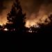 Incêndio de grandes proporções atinge área próxima ao lixão de Sapiranga, veja o vídeo:
