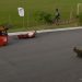 Estão abertas as inscrições para o 3º GP Hartz