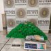 Brigada apreende quase 50 quilos de maconha e centenas de comprimidos de ecstasy em Sapiranga