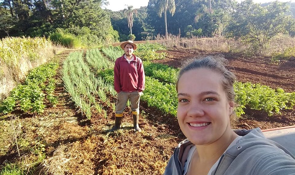 Quando a cidade deixa de ser atraente e o campo garante sustento e qualidade de vida