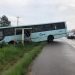 Motorista perde controle de ônibus e veículo vai parar em matagal às margens da RS-239, em Araricá