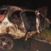 Carro com placas de Campo Bom capota ao desviar de acidente que vitimou casal em Capão da Canoa