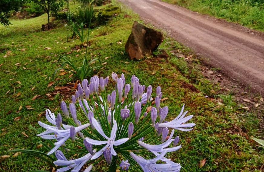 Caminhada em meio as belezas naturais e históricas de Nova Hartz será domingo