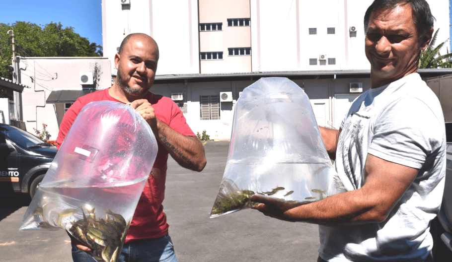Projeto de incentivo a Piscicultura entrega mais de 25 mil alevinos em Sapiranga