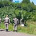 Brigada Militar faz buscas aos criminosos que roubaram malote em Sapiranga