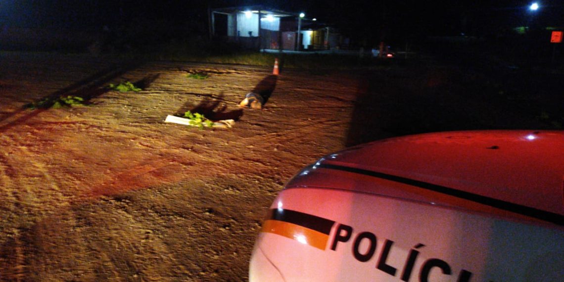 Campo Bom registra execução brutal às margens da RS-239. Confira vídeo