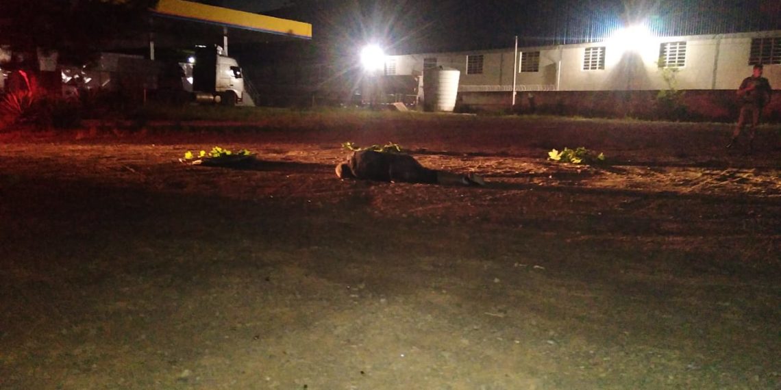 Perícia trabalha para identificar homem morto em Campo Bom na véspera de Natal