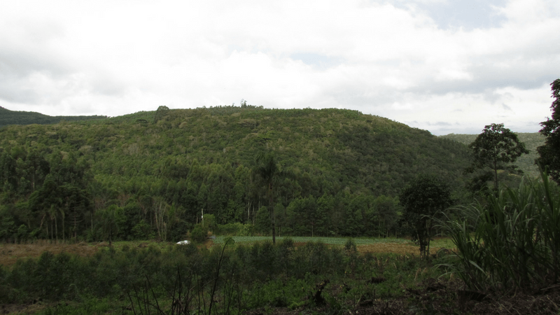 Morro Ferrabraz, de Sapiranga, tem preservação garantida